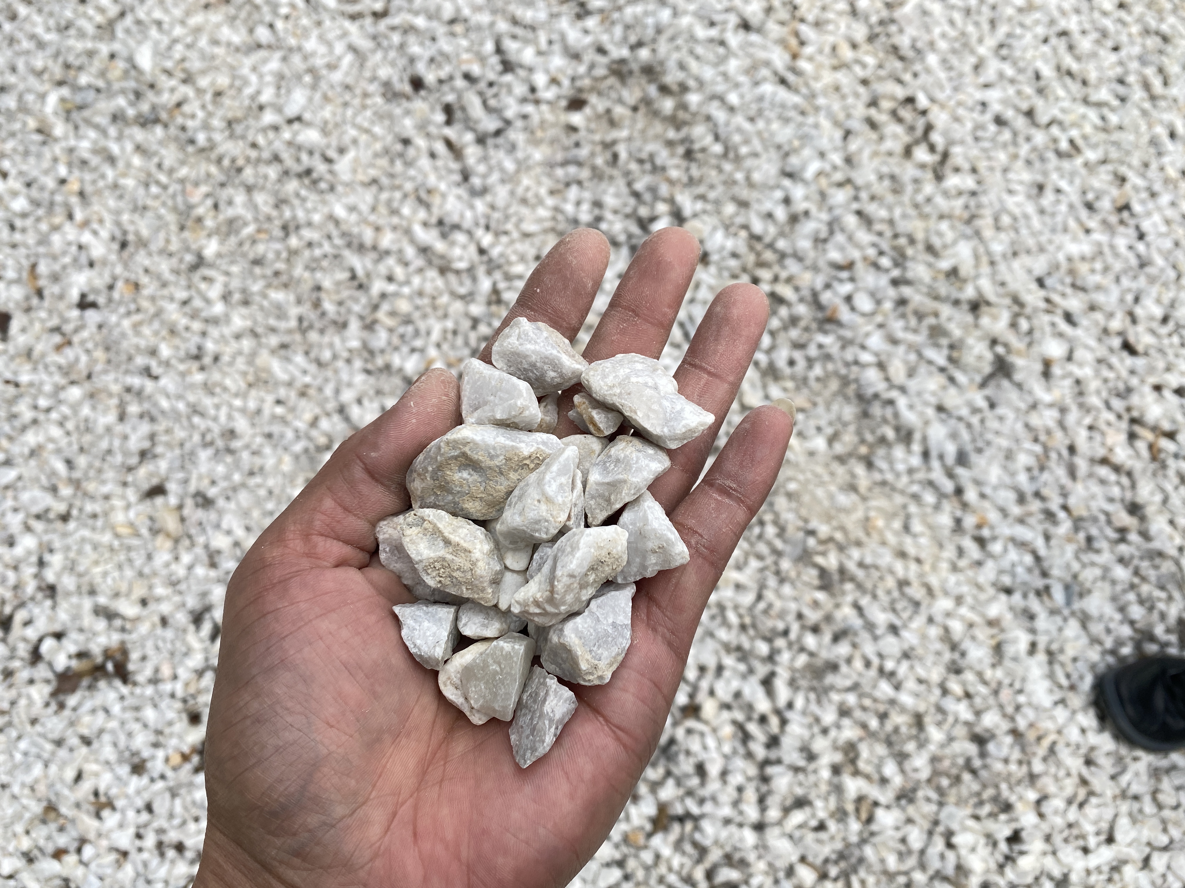 微信图片_20240808094750